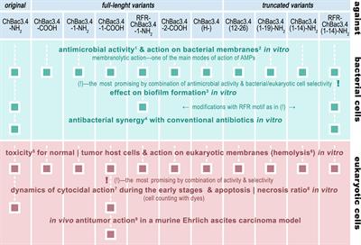 Caprine Bactenecins as Promising Tools for Developing New Antimicrobial and Antitumor Drugs